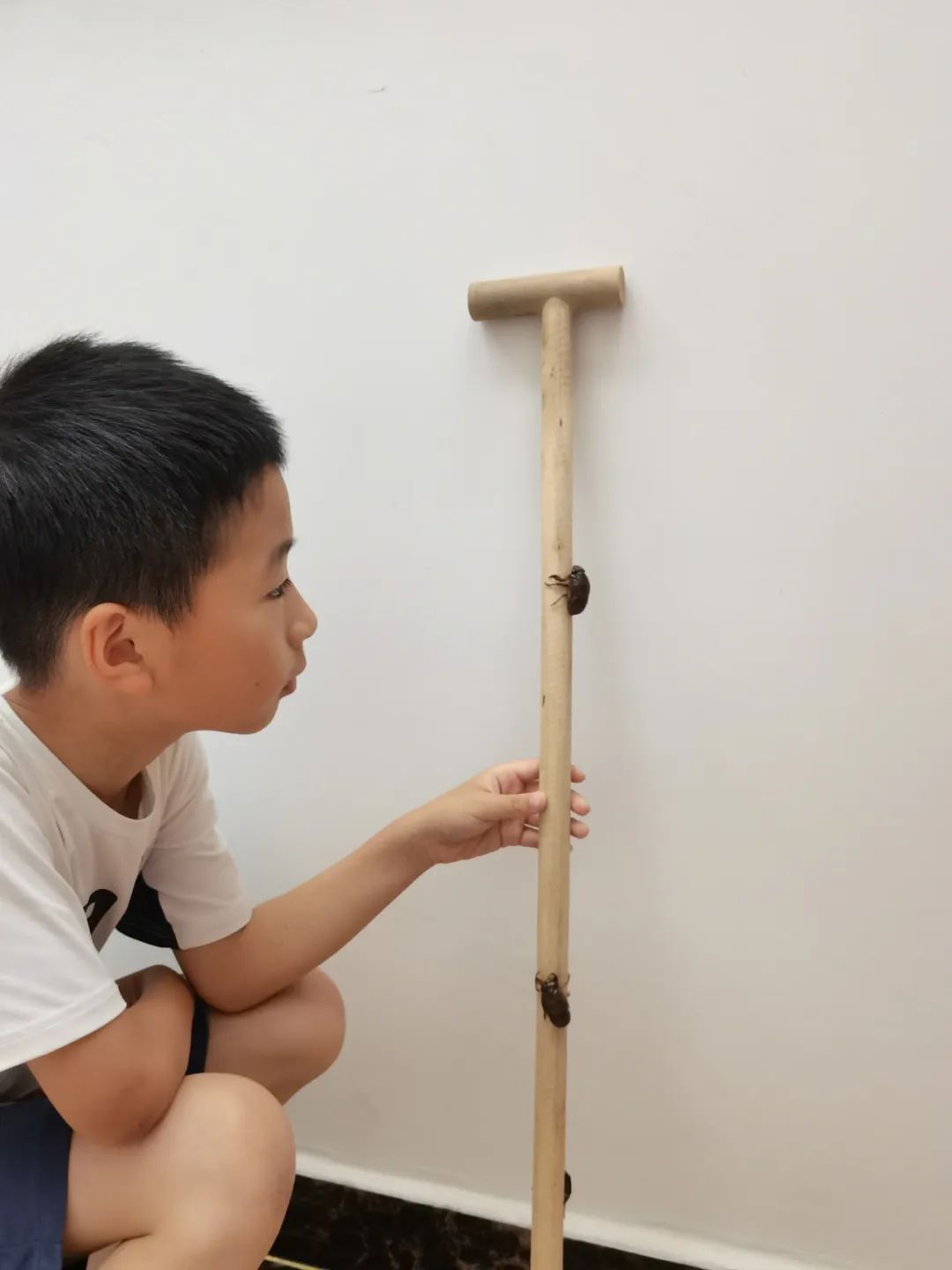 金蝉脱壳是什么意思