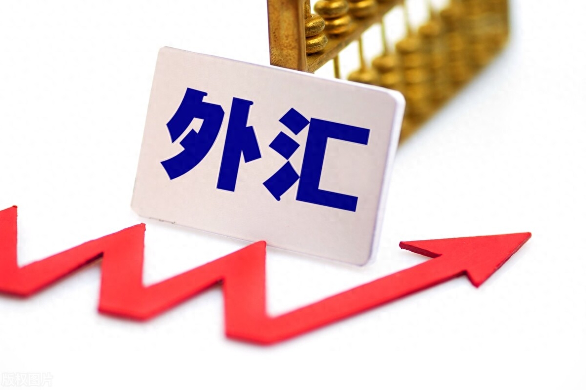结汇是什么意思