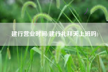 建设银行星期天上班吗