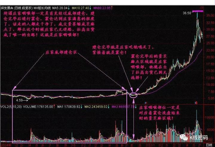 建仓是什么意思