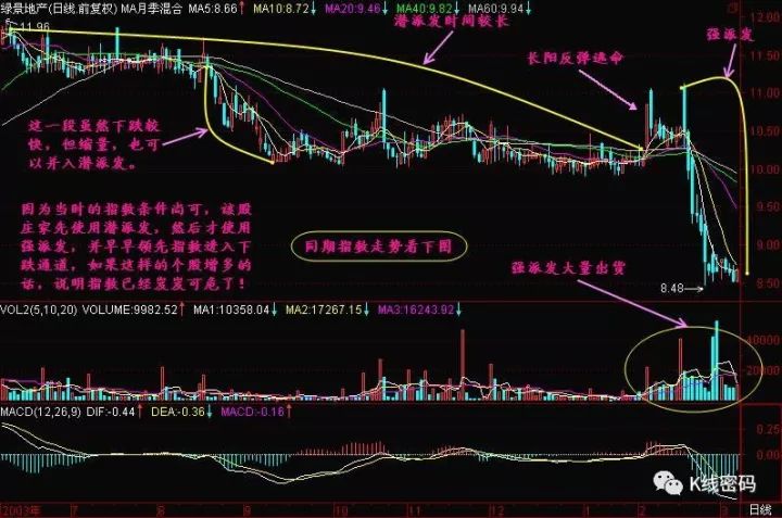 建仓是什么意思