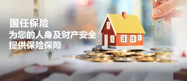 国任保险官网