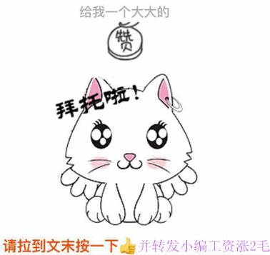 国任保险官网