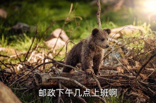 邮政下午几点上班啊