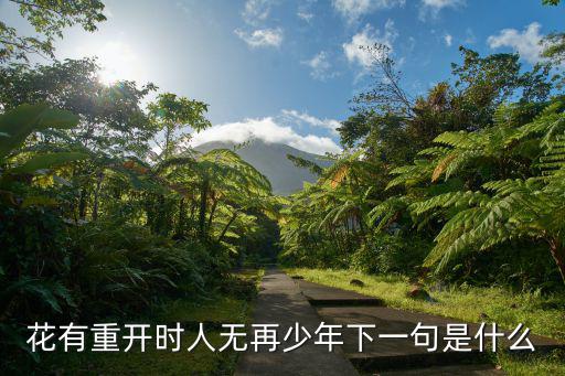 花有重开时人无再少年下一句是什么