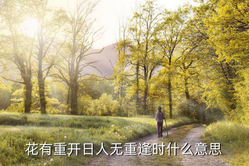 花有重开日人无重逢时什么意思