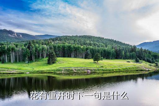 花有重开时下一句是什么