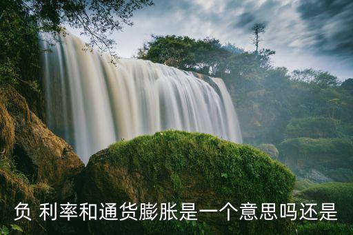 负 利率和通货膨胀是一个意思吗还是