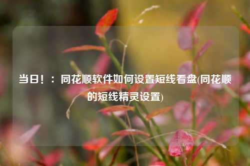 当日！：同花顺软件如何设置短线看盘(同花顺的短线精灵设置)