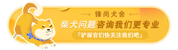 豆一和豆二区别