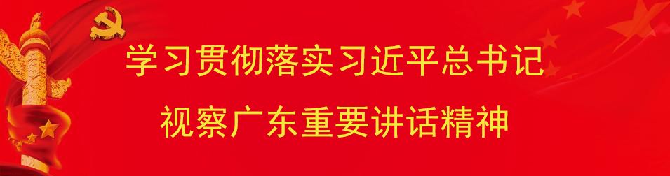 电子保单下载