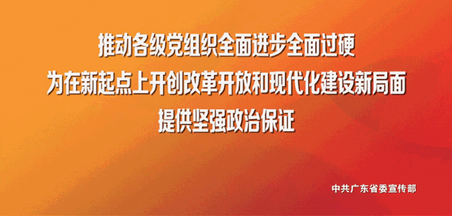 电子保单下载