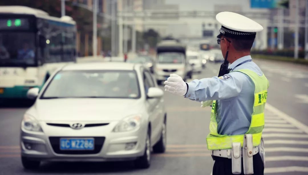 电子保单下载