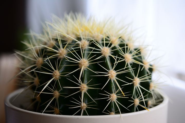 梦见修车修出了不合理的天价账单是什么意思