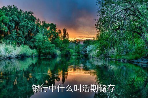 银行中什么叫活期储存