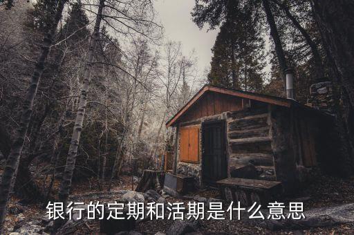 银行的定期和活期是什么意思