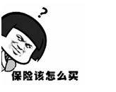 百年人寿保险公司