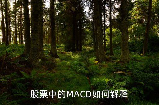 股票中的MACD如何解释
