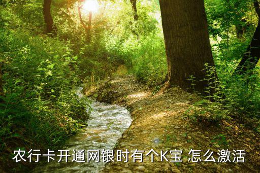 农行卡开通网银时有个K宝 怎么激活