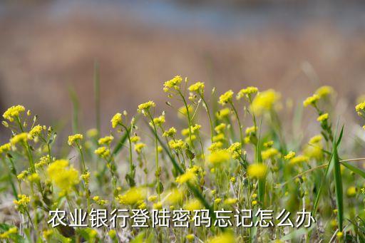 农业银行登陆密码忘记怎么办
