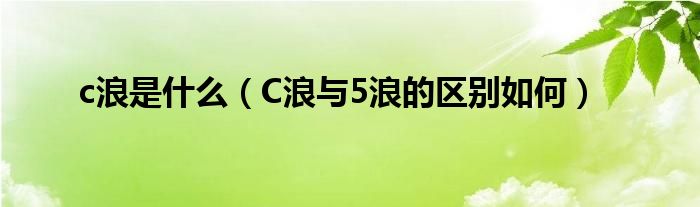 c浪下跌