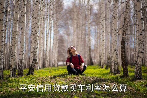 平安信用贷款买车利率怎么算