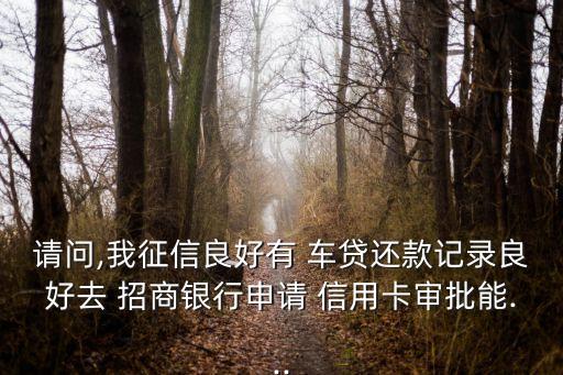请问,我征信良好有 车贷还款记录良好去 招商银行申请 信用卡审批能...