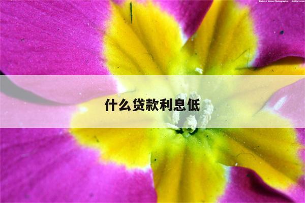 什么贷款利息低  第1张