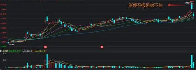 追涨杀跌什么意思