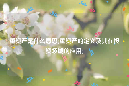 重资产是什么意思(重资产的定义及其在投资领域的应用)