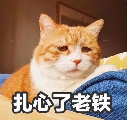 中邮钱包