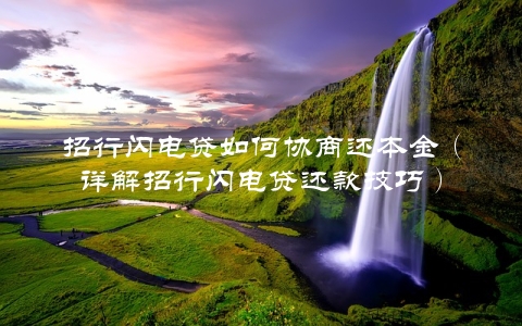 招行闪电贷如何协商还本金（详解招行闪电贷还款技巧）