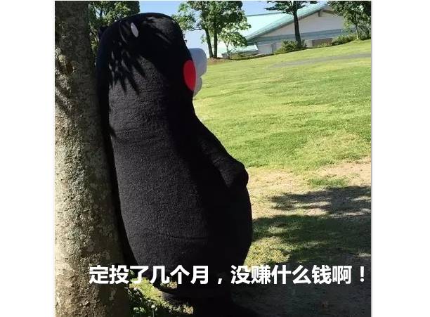 月供是什么意思