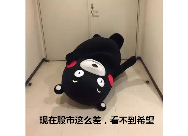 月供是什么意思