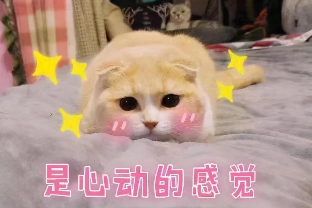 银行卡号大全