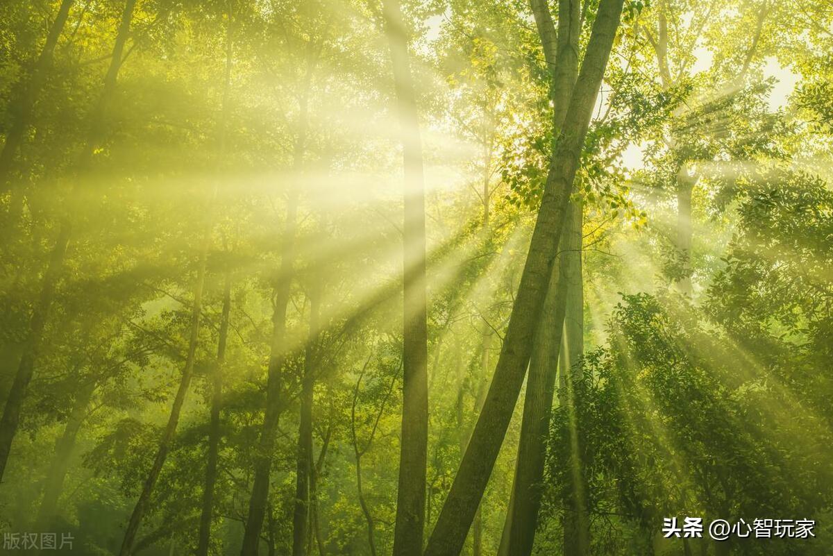 义务教育名词解释