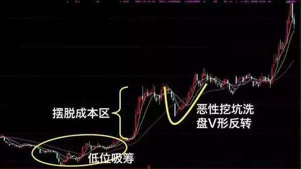 熊市什么意思