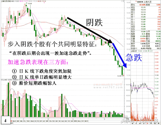 熊市什么意思