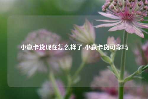 小赢卡贷现在怎么样了-小赢卡贷可靠吗