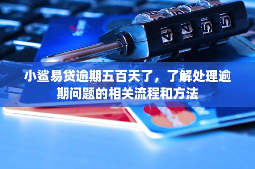 小鲨易贷逾期五百天了，了解处理逾期问题的相关流程和方法