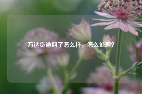 万达贷逾期了怎么样，怎么处理？