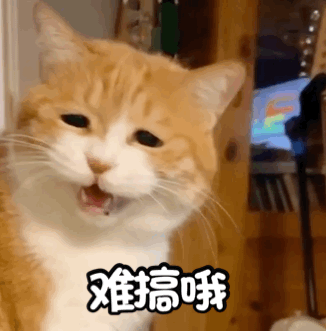 特需门诊可以走医保吗