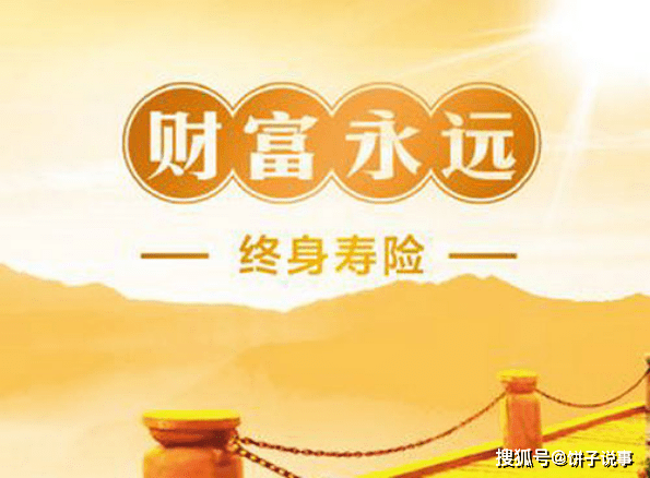 什么是定期寿险