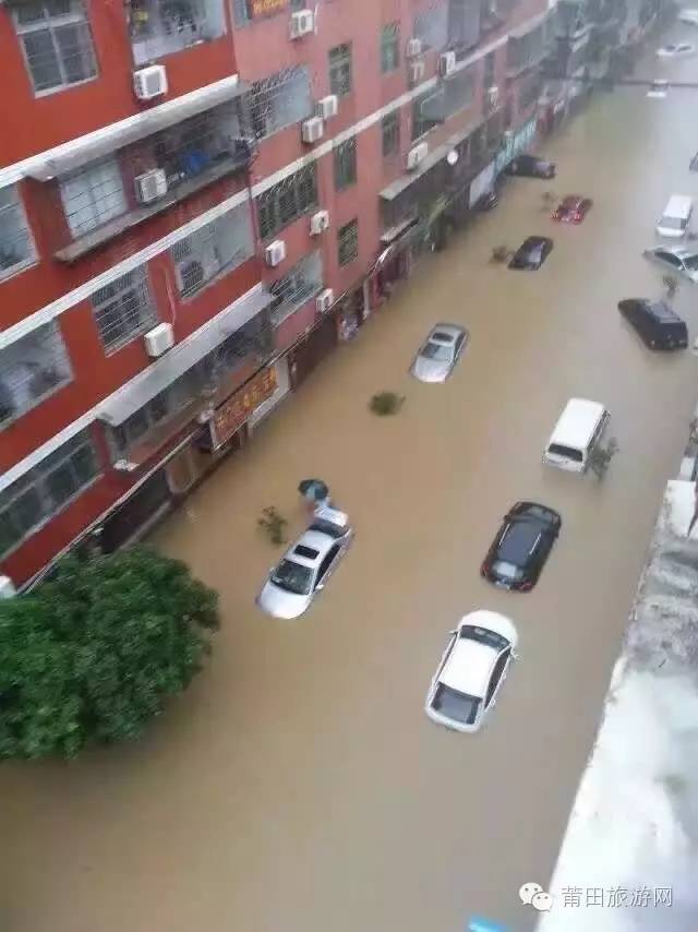 什么叫车损险