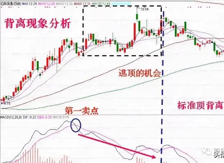 什么是macd
