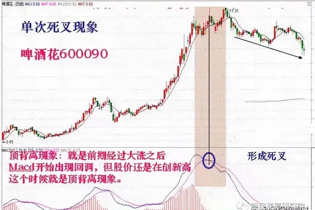 什么是macd