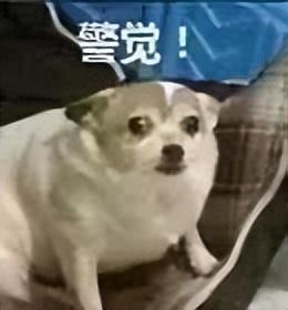 如何关闭京东白条
