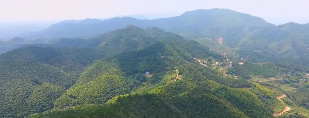 仁瑞