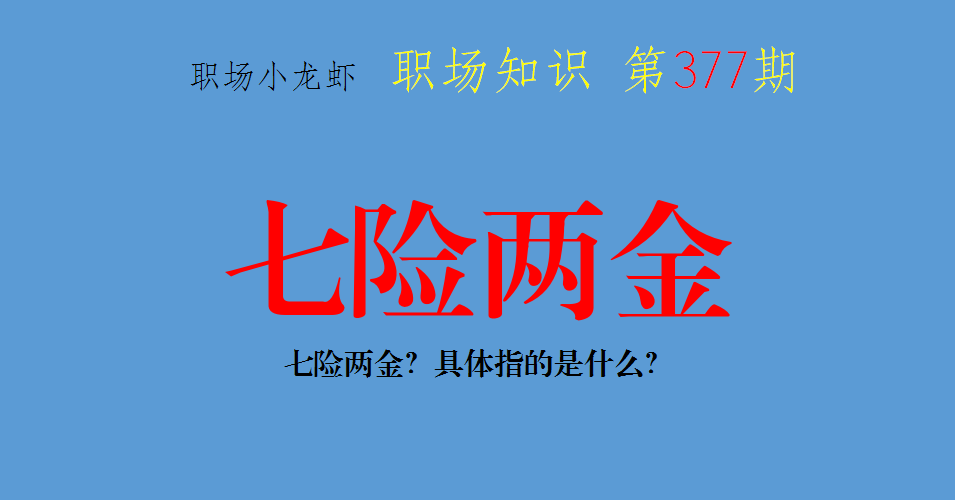 七险两金