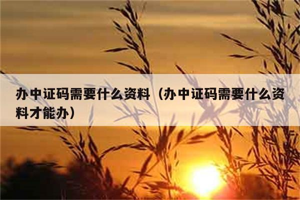 企业中征码怎么查询